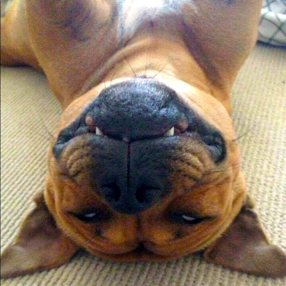 Meet your Posher, Lynnii - Picture 1 of 1